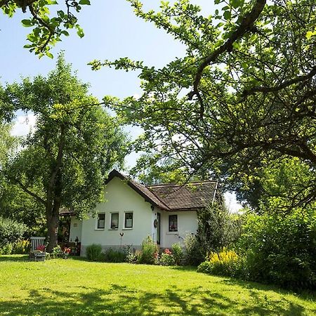 Ferienhaus Am Alten Bahndamm Waldsassen Εξωτερικό φωτογραφία